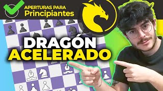 El Dragón Acelerado para PRINCIPIANTES [upl. by Neb]