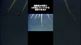 【一分以内でわかる】T2ブルーインパルス墜落事故1982年・浜松基地航空祭ブルーインパルス墜落事故航空祭 [upl. by Morentz6]