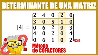 Determinante de una matriz 5X5 por COFACTORES [upl. by Analah]