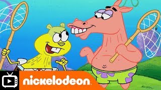 SpongeBob SquarePants  Sandy and the Jellyfish  Nickelodeon UK [upl. by Ynohtnacram]