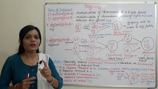 Class 32  Polyploidy Part 02  Types amp Application of Polyploidy  Reference to Medicinal Plant [upl. by Nylecoj745]