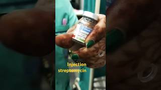 injection streptomycin in intramasular medicalprofession ytstudieo [upl. by Glenn]