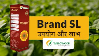 Brand SL  Full Details  पूरी जानकारी  Willowood Chemicals Ltd [upl. by Inalak195]