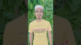 11 bi Sharif 🤲🌹🥰 new reels viralshorts islamic trending ytshorts [upl. by Drandell]