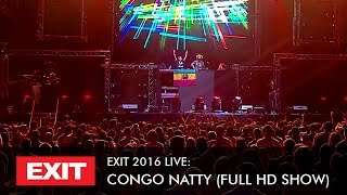 EXIT 2016  Congo Natty Live  Main Stage Full HD Show [upl. by Hcirteid]