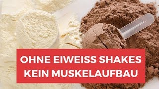 Helfen Protein Shakes beim Abnehmen  ALLES ÜBER EIWEIß PULVER amp PROTEIN SHAKES [upl. by Yornoc]