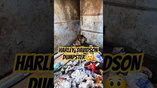 I went to Harley Davidsons dumpster and found animals harleydavidson animals dumpsterdiving [upl. by Lap]