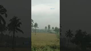 travel with rain Kalaya kanave Mazhai mazhai song whatsapp status [upl. by Aihsa813]