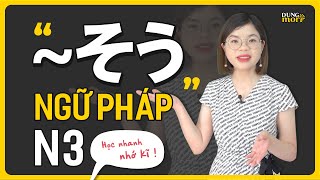 Ngữ pháp N3 Hệ thống về ngữ pháp そう theo 1 cách nhìn đơn giản [upl. by Ianahs402]