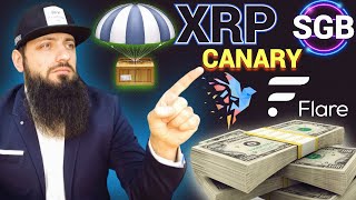 АЭРДРОП XRP 🔥 CanaryX AMA  FLR Flare скоро раздача  SGB Songbird Defi DAO  888innercircle NFT [upl. by Hamforrd]