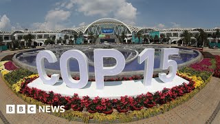 COP15 UN biodiversity summit opens in Canada – BBC News [upl. by Ann-Marie]