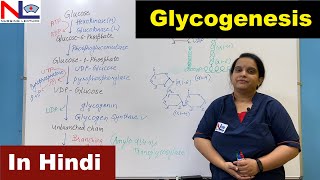 Glycogenesis in Hindi  हिंदी में   Carbohydrate Metabolism  Nursing Lecture [upl. by Corbin]