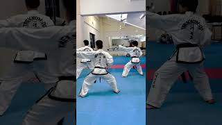 ITF TAEKWONDO PATTERN WonHyo [upl. by Darcia]