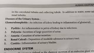 Diseases Of Urinary SystemGlomerulomephritisPyelitisAnuriaCystitiswith Vivek [upl. by Anassor948]