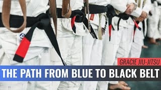 The Path from Blue to Black Belt Master Cycle [upl. by Melanie]