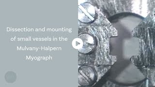 Dissection and mounting of small vessels in the MulvanyHalpern Myograph [upl. by Fenn]