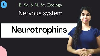 Neurotrophins  Nervous system  B Sc amp M Sc  Zoology [upl. by Koziara]