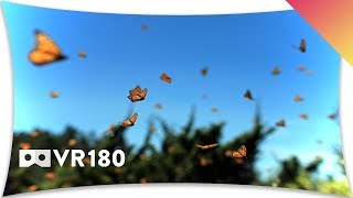 Mexico’s Monarch Butterfly Migration in VR180 [upl. by Okorih]