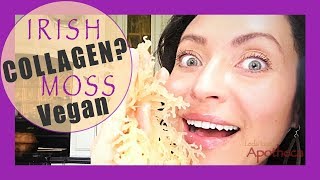 Vegan 🥗Hydrolyzed collagen Irish Moss💥 [upl. by Atiuqihc]