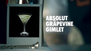 ABSOLUT GRÄPEVINE GIMLET DRINK RECIPE  HOW TO MIX [upl. by Grimonia375]