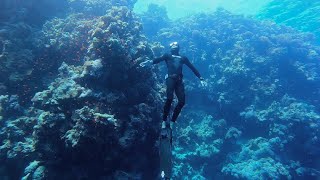 Freedive Dahab  Egypt  2022 [upl. by Eentruoc]