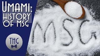 Umami A History of Monosodium Glutamate [upl. by Edyak362]