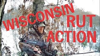 Wisconsin Rut Action  Bow hunting in single digit temperatures in western Wisconsin [upl. by Pena]