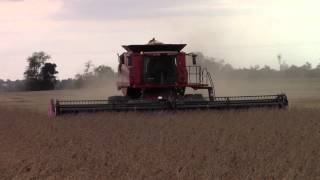 Case IH 9230 AxialFlow Combine on Tracks [upl. by Yessak]