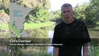 Ask an Expert  Water Quality  Chris Domeier [upl. by Nahshun992]