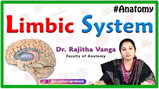 Limbic system Anatomy  Cortical component Subcortical components Circle of Papez [upl. by Leirrad907]