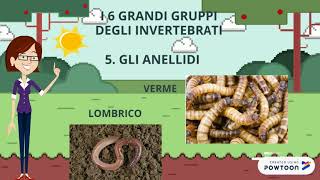 Gli invertebrati [upl. by Wiencke849]