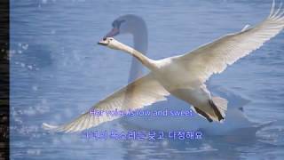 Annie Laurie  Jo Stafford  with lyrics 영어가사한글번역 [upl. by Maddi]