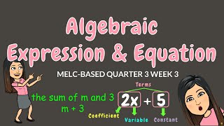 ALGEBRAIC EXPRESSIONS amp EQUATIONS  GRADE 6 [upl. by Gilpin]