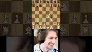 Kings Gambit  Accepted chess shorts chesstrapsforbeginners [upl. by Sower250]