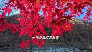 昼神温泉紅葉散策（Osmo Action 5 Pro） [upl. by Enelime]