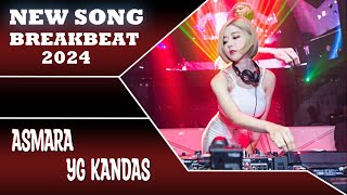 DJ ASMARA YANG KANDAS BREAKBEAT BIKIN GOYANG 2024  DOL FUNK [upl. by Mcbride]