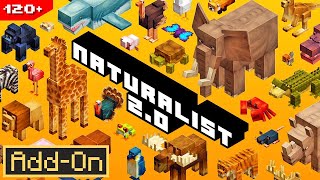 NATURALIST 20 ADDON brings 120 Animals to Minecraft Survival Full Showcase [upl. by Caroline]