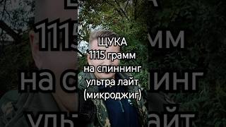 Щука 1115 грамм на спиннинг ультра лайт микроджиг спиннинг микроджиг щука простойрыбак [upl. by Meri179]