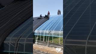 Installation process of black insulation layer for greenhouse [upl. by Melvyn]