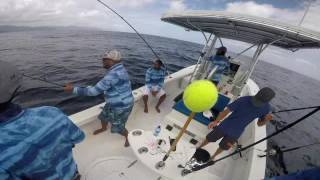 TTGFA 2016 Kingfish Tournament Champions  Team Possessed  Reel Tackle [upl. by Ahsiekahs]