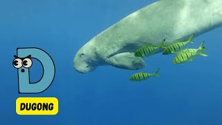 ABC Endangered Sea Animals Song for Kids  Fun Alphabet Learning  Phonics amp Conservation  abcd [upl. by Maiga]