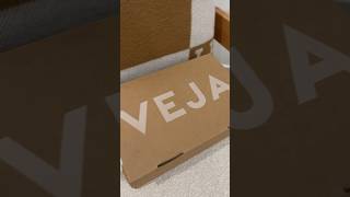 👟 Unboxing the Ultimate Veja Campo Sneakers MustSee Sneakerheads Fashion VejaCampo ShoeGame [upl. by Marlin]