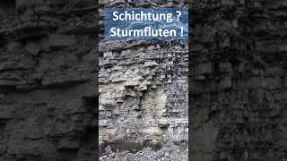 Schichtung durch Stürme Tempestite Muschelkalk [upl. by Hollie77]