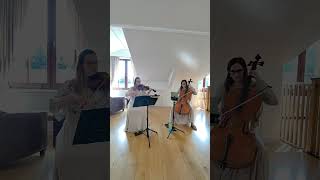 Dance The Night  Dua Lipa performed by Serenity String Duo Worton Hall [upl. by Utimer956]