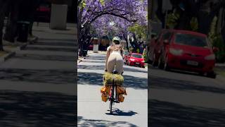 CYCLING INTO THE SPRING cycling cycle bike bikelife roadbike roadcycling [upl. by Adialeda]