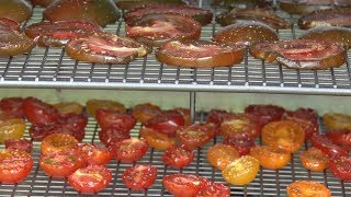 How to make a Food Dehydrator and Smoker [upl. by Barrus22]