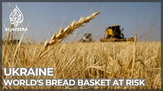 Worlds bread basket at risk Russian invasion blocks farming [upl. by Rossie]