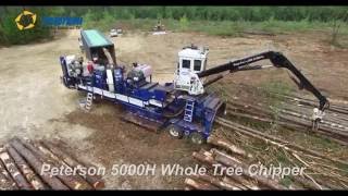 Peterson 5000H Whole Tree Chipper in Pine [upl. by Rawden]