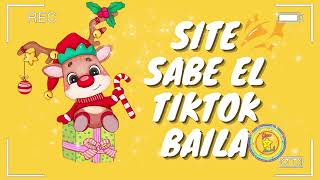 SI TE SABES EL TIKTOK BAILA 2024💖 Star Baila [upl. by Marlon]