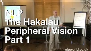 The Hakalau  Peripheral Vision Part 1 [upl. by Dimitris]